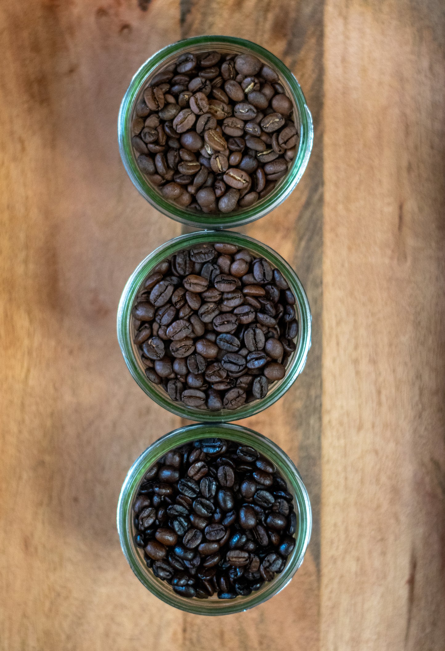 Sampler Bundle - Whole Bean